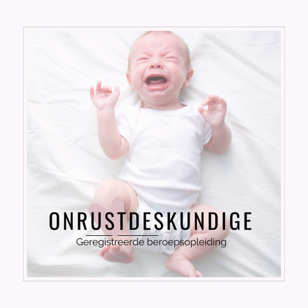 Onrustdeskundige - vakopleiding