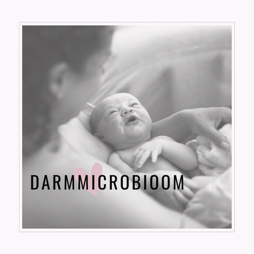 Master Darmmicrobioom