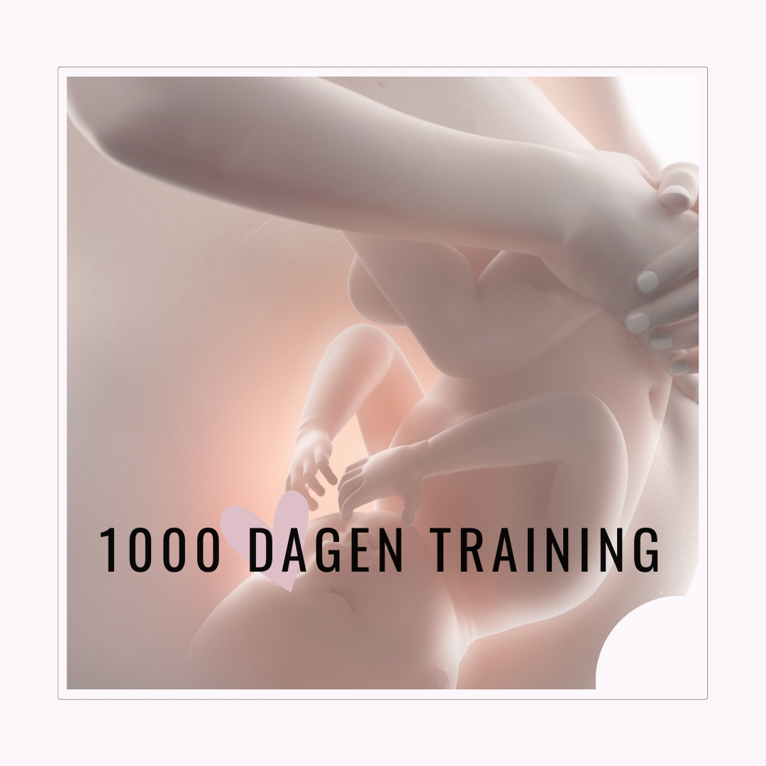 Master Darmmicrobioom