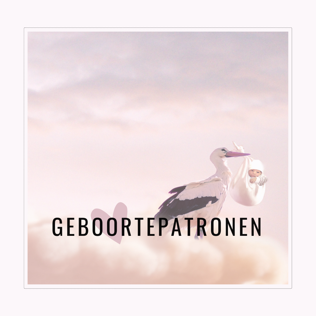 Master Darmmicrobioom