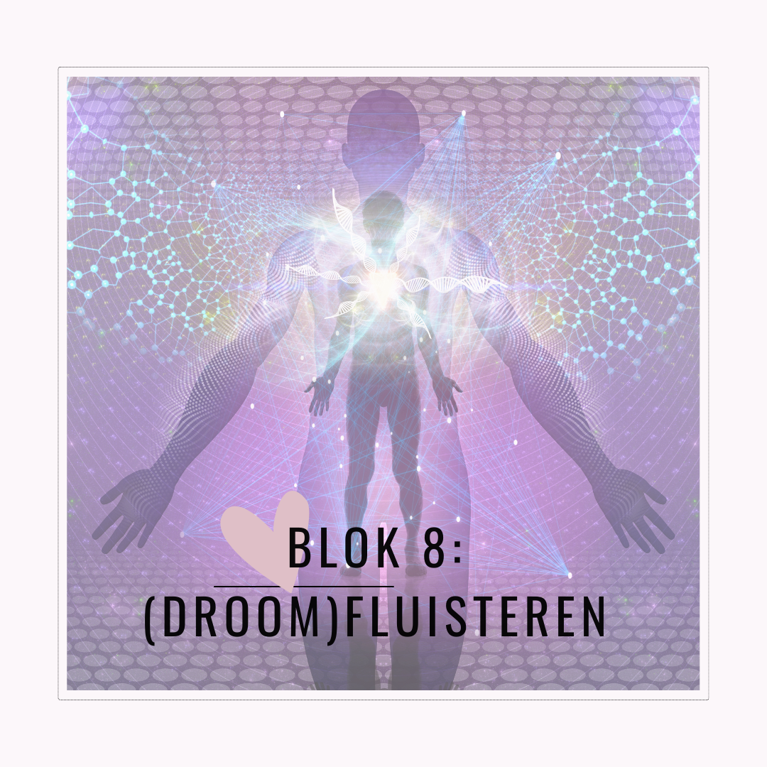 Opleidingsblok 8: (Droom)Fluisteren