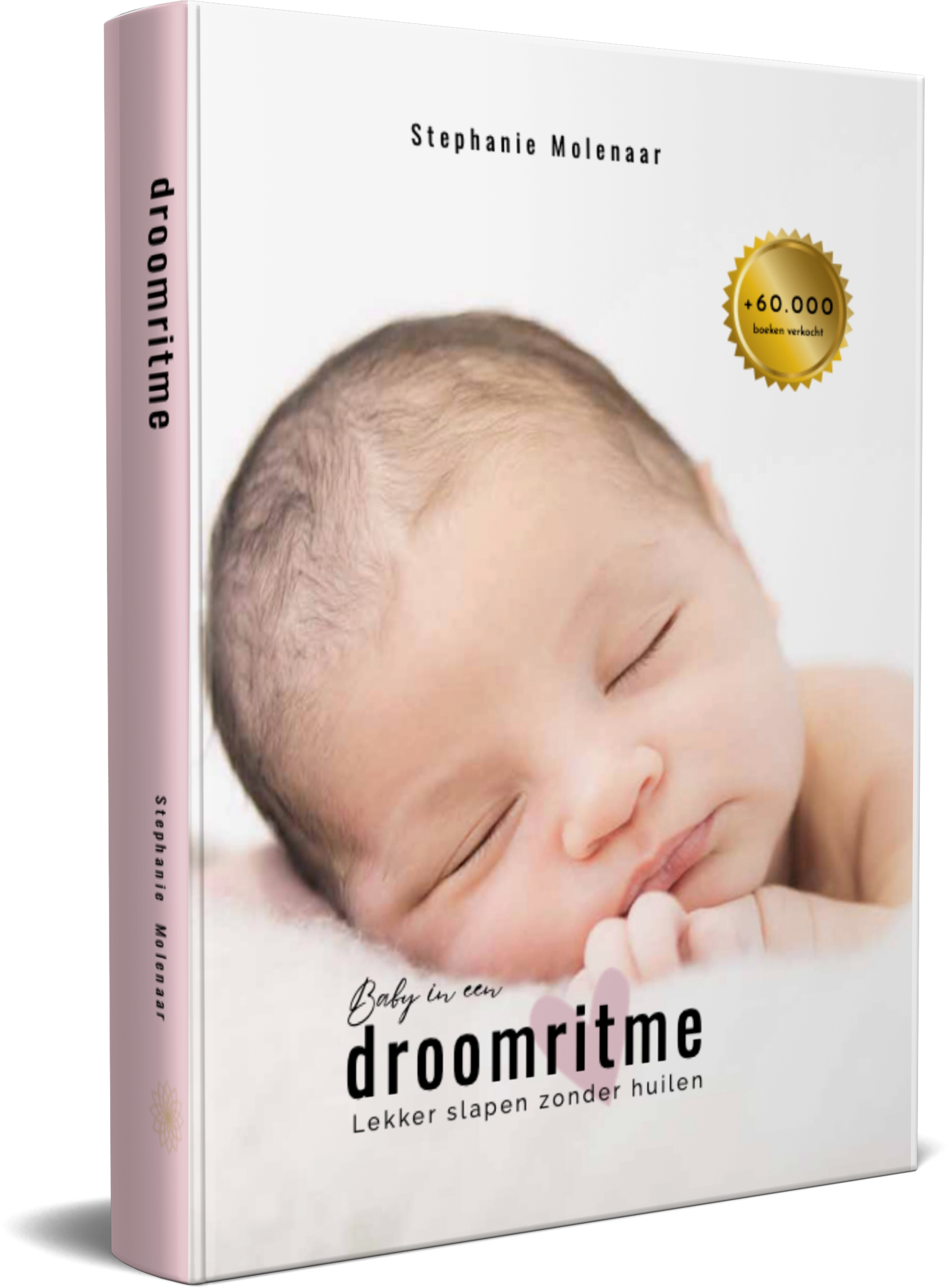 Baby in een droomritme e-boek
