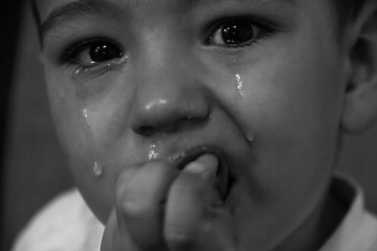 Schermafbeelding 2024 11 06 om 13.56.00 768x512