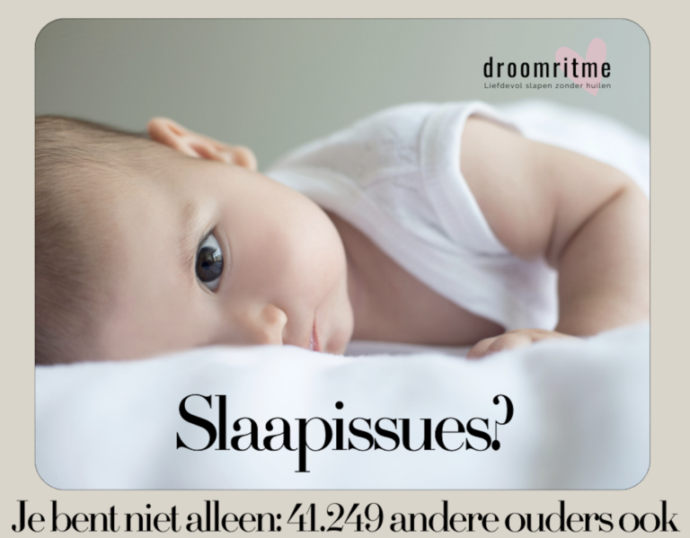 Scherm­afbeelding 2025 03 27 om 16.02.55 768x599